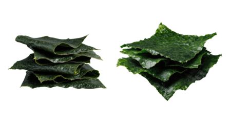 Fresh Dark Green Dried Seaweed Nori Sheets Stack Natural Japanese Sushi Making Raw Organic Sea Vegetable Snack Food Isolated on Transparent and White Background