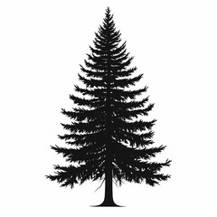 Fototapeta premium Evergreen Tree Silhouette: Nature's Elegant Seasonal Icon of Forest Foliage and Natural Beauty
