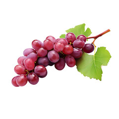 Fototapeta premium Large Ruby Roman Grapes on transparent background