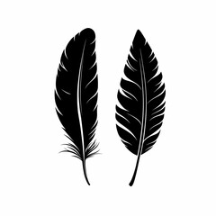 Fototapeta premium Elegant Black Feather Vector Illustration. Minimalist Nature Art with Delicate, Decorative Patterns