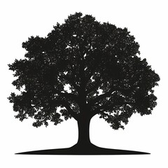 Fototapeta premium Silhouette of Tree with Leafy Foliage in Nature | Black and White Artistry in Natural Landscape