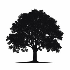 Majestic Tree Silhouette: Stunning Nature and Serenity in Outdoor Landscape with Lush Foliage