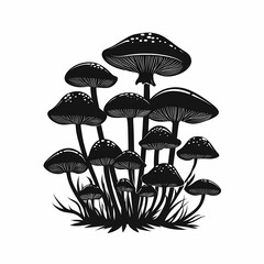 Stylized Black and White Botanical Illustration of Wild Mushrooms in Forest - Mycology Art and Decorative Eco-Friendly Design