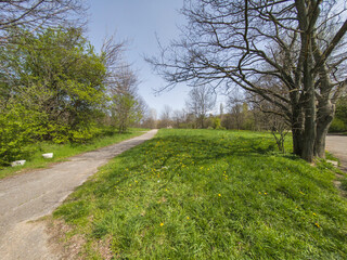Obraz premium Spring Landscape of South Park in city of Sofia, Bulgaria