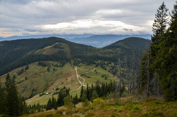 Obraz premium Tranquil mountain setting showcasing verdant forests, lush valleys, and soft skies with distant peaks hinting at serenity and natural beauty. Carpathian Mountains, Ukraine