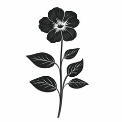 Elegant Botanical Design. Black Silhouette Flower Art with Nature Illustration and Floral Decor
