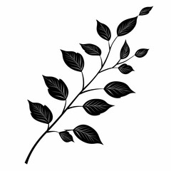 Obraz premium <Botanical Black and White Leaf Illustration: Organic and Eco-Friendly Decorative Art for Nature-Inspired Design>