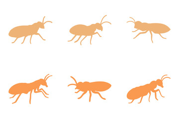 Termite Silhouette Icon Set. Animal Illustration Design