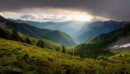 Naklejka premium Generated image