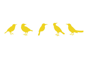 Weaver Bird Silhouette Icon Set. Animal Illustration Design
