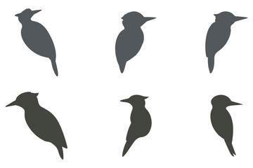 Naklejka premium Woodpecker Silhouette Icon Set. Animal Illustration Design