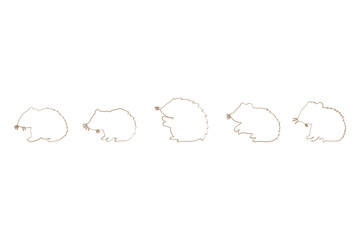 Wombat Outline Icon Set. Animal Illustration Design