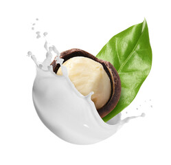 Nut milk splash, macadamia and green leaf isolated on white