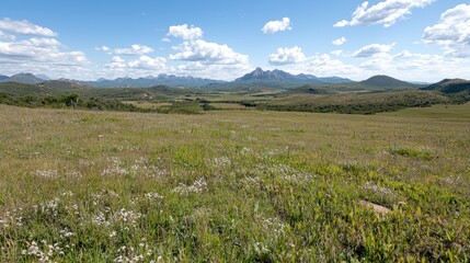 Fototapeta premium Vast grassland landscape with distant mountains under a partly cloudy sky