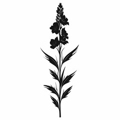 Fototapeta premium Black Silhouette Flower Vector Illustration: Elegant Botanical Design with Ornamental Floral Art and Decorative Leaf Patterns