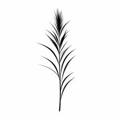 Fototapeta premium Black and White Illustration of Botanical Leaves and Branches: Minimalist Vector Design