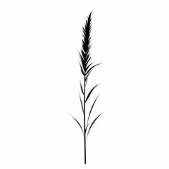 Obraz premium Black and White Grass Silhouette: Elegant Botanical Art & Eco-Friendly Design