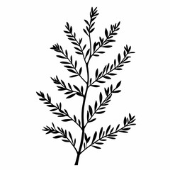 Naklejka premium Monochrome Botanical Leaf Illustration: Simplistic Line Art for Eco-Friendly Home Decor
