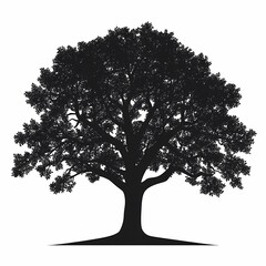 Fototapeta premium Solitary Silhouette Tree in Nature: Beautiful Woodland Backdrop with Organic Branch Design for Idyllic Forest Landscapes