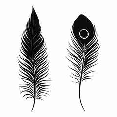 Obraz premium Elegant Black Feather Illustration Design: Isolated Nature-Themed Vector with Minimalist Ornamental Details
