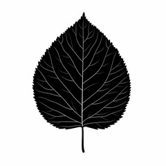 Obraz premium Elegant Botanical Silhouette Design: Modern Black Leaf Outline with Eco-Friendly, Sustainable Flair