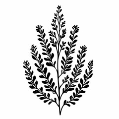 Fototapeta premium Botanical Black Silhouette: Elegant Line Art for Nature Lovers - Minimalistic Herbal Decor for Spring & Summer