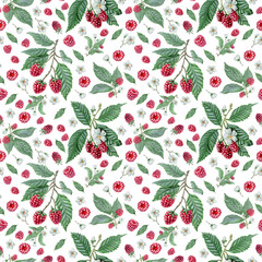 Vibrant raspberry pattern with watercolor berries, leaves and branches. On white background. Cute design for wallpaper, textile, scrapbooking etc. 