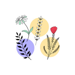 vector illustration of an abstract floral background