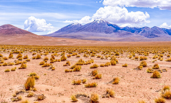 Altiplano, Bolivia. Mountains in the Cordillera Occidental of Andean Mountain Range bordering Chile