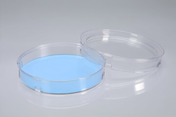 Transparent petri dish with blue liquid research equipment science laboratory medicine experimentation analysis