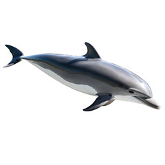 Obraz premium Dancing with the Waves: A Dolphin’s Graceful Journey Through the Deep Blue Ocean