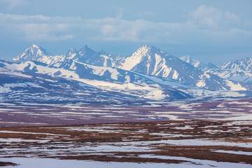 Springtime on the arctic tundra landscape of the Seward Peninsula