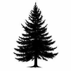 Obraz premium Evergreen Spruce Tree Silhouette - Minimalist Black Woodland Landscape Illustration