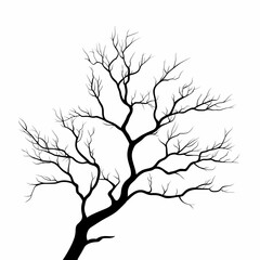 Elegant Silhouette of Bare Tree Branches in Winter: Abstract Black & White Fine-Art Illustration