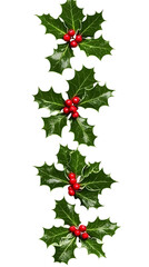 Vertical Arrangement of Holly with Green Leaves and Red Berries on Transparent Background