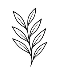 Leaf branch simple outline vector