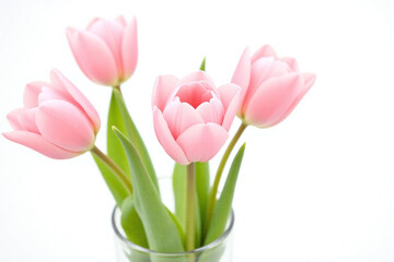three pink tulips in a vase on a white background