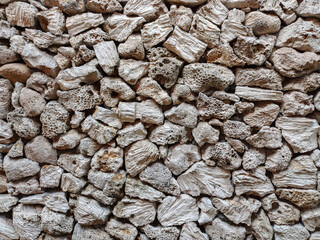 coral rocks are neatly and beautifully arranged to create a beautiful and elegant background. Copy space, design, background