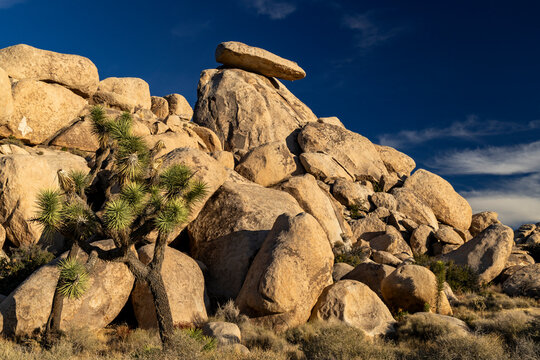 Caprock in Joshua Tree National Park, California, USA