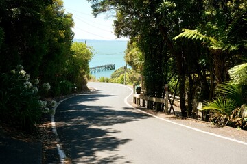 Idyllic Street Leading to the Ocean in New Zealand – Peaceful Coastal Scenery