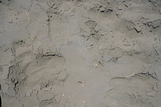 Black Sand Texture at Whatipu Beach &ndash; Volcanic Coastal Detail in New Zealand
