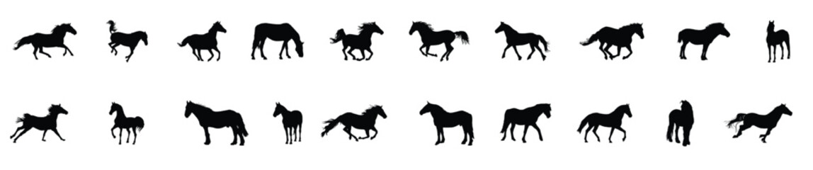 horses silhouettes collection. Wild horse silhouettes