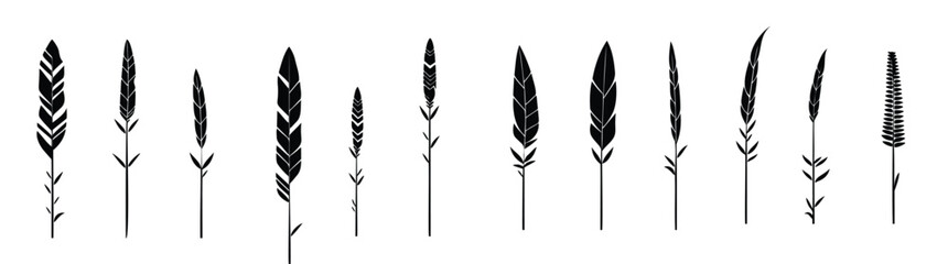 Obraz premium Black arrows or feather vector icons set