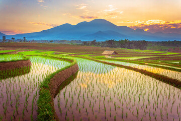 Obraz premium morning view with beautiful rice fields reflecting the sky and the morning sun between the mountains