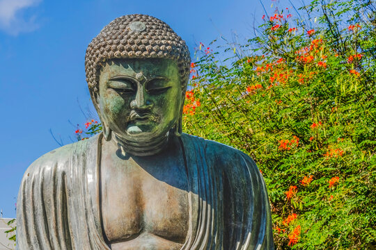 Buddha statue, Daibutsu replica, Foster Botanical Gardens, Honolulu, Oahu, Hawaii.