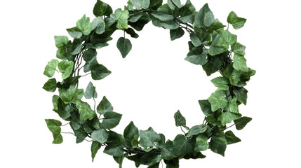 Fototapeta premium Ivy Wreath: A lush, vibrant ivy wreath creates a natural, circular frame, perfect for adding a touch of greenery to any setting.