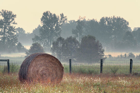 Hay bale in rural farm field, Oldham County, Kentucky