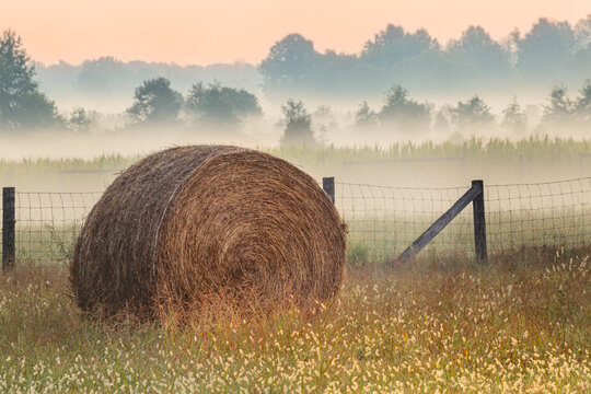 Hay bale in rural farm field, Oldham County, Kentucky