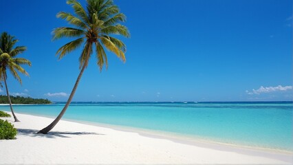 Obraz premium Tranquil Escape: White Sand Beach Meets Azure Waters Under a Bright Blue Sky on a Tropical Island.