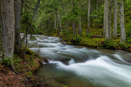 Mission Creek in the Mission Mountains Tribal Wilderness near St. Ignatius, Montana, USA.